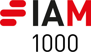 IAM Patent 1000