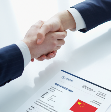 面向中国企业的定制化服务